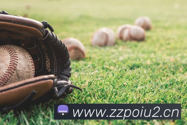 华体会体育官网app赛事直播解说员平台生态图